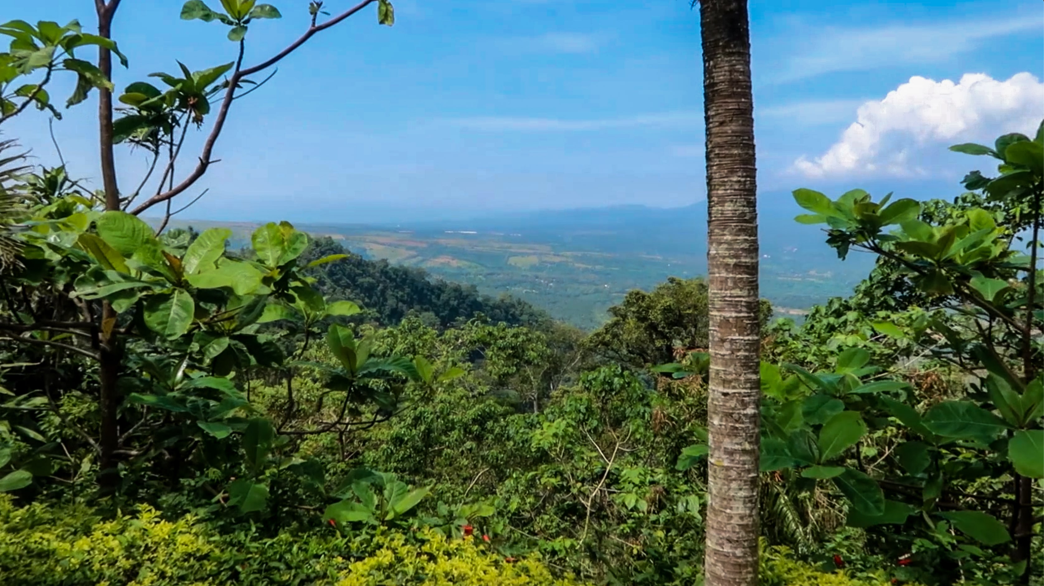 view from mount samat in bataan philippines